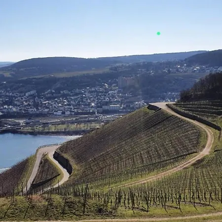 Fichtennest Bingen am Rhein