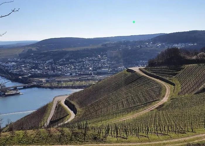 Fichtennest Bingen am Rhein